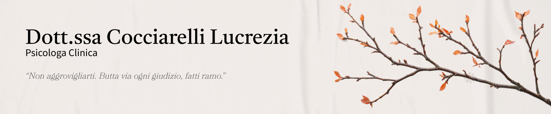 Dott.ssa Cocciarelli Lucrezia 